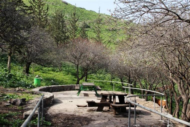פינת פיקניק בטבע